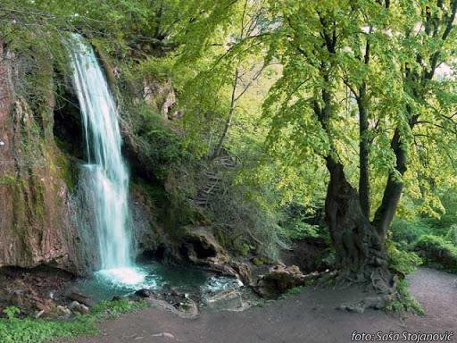 Kuce-od-80m2-Sokobanja