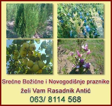 Voćne Sadnice 
