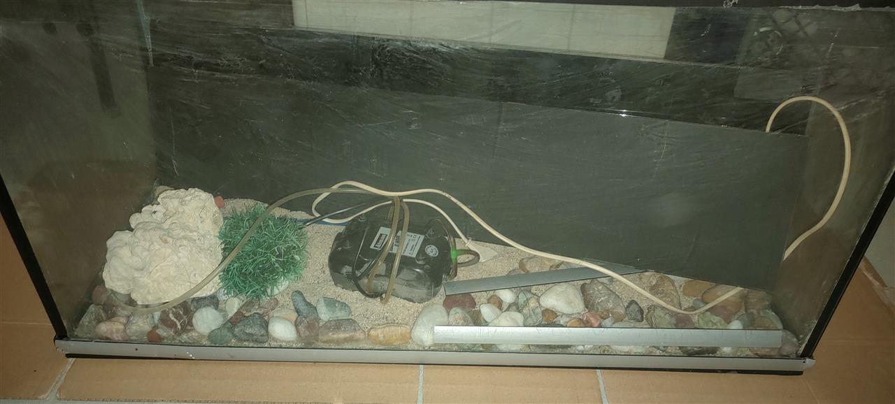 Akvarijum