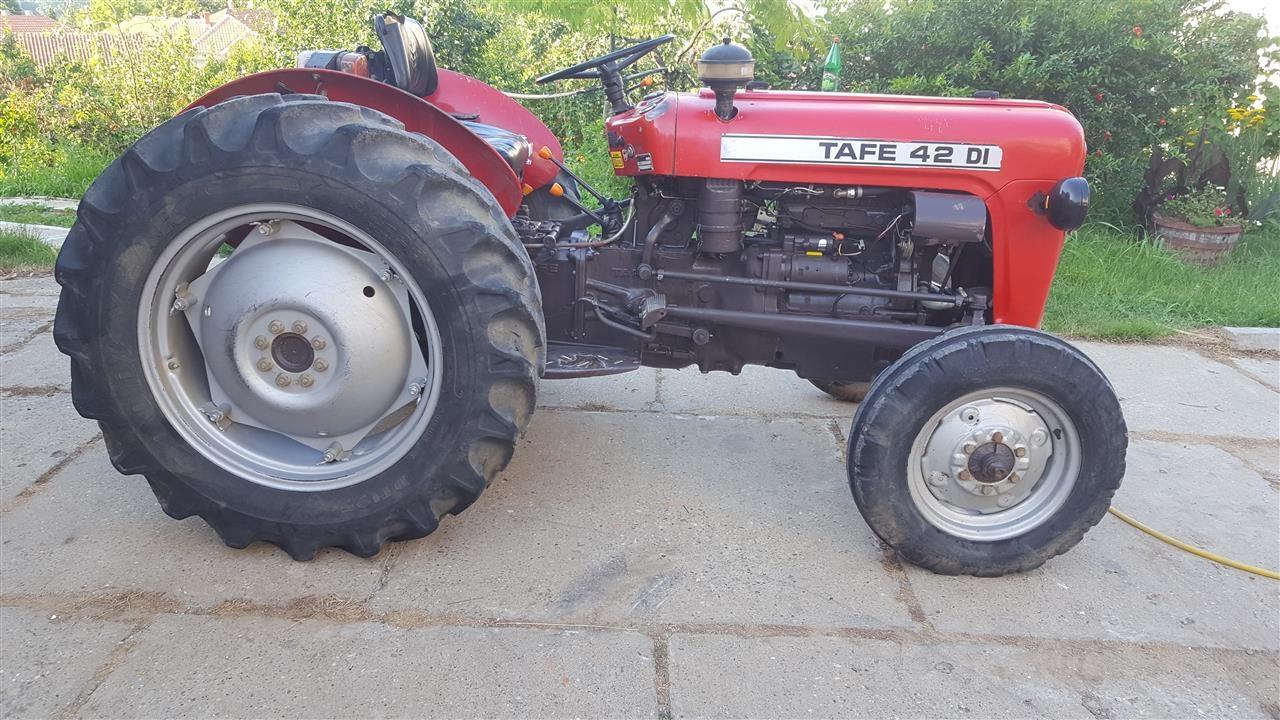 Tafe-42