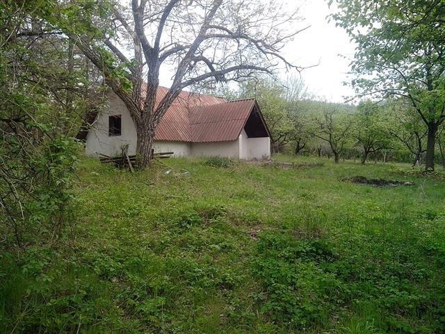 Se-odlični--placevi---u-Kragujevcu
