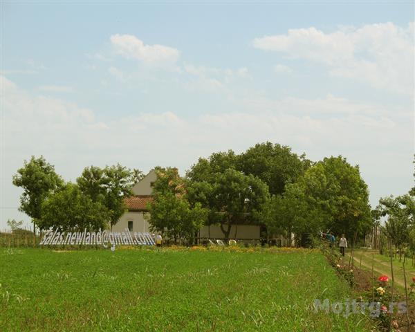 Salas Od 20000m2 Cenej Salas 176 Novi Sad