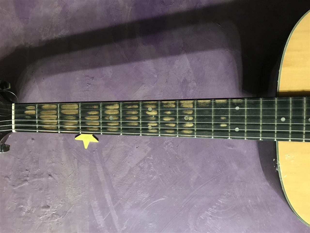 Sx-custom-gitara