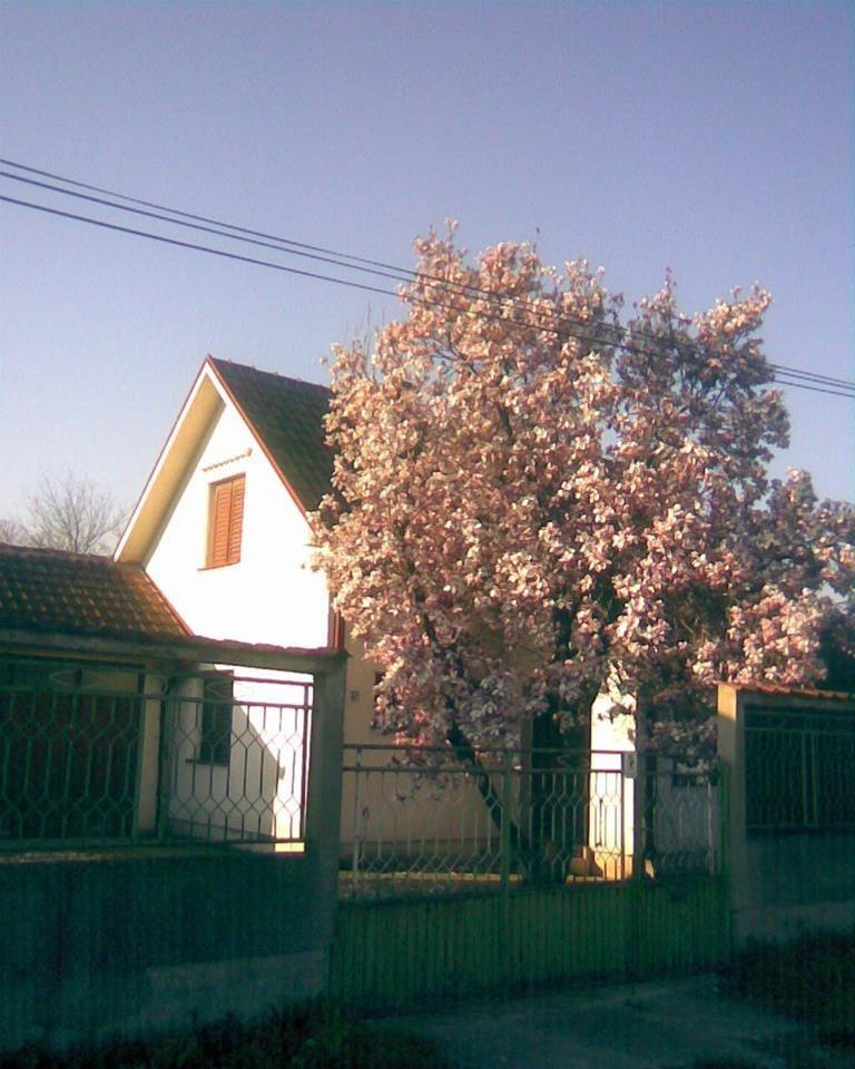 Kuća-na-PRODAJU