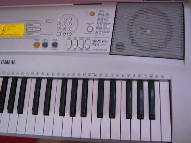 Yamaha-psr-e303-aranzer