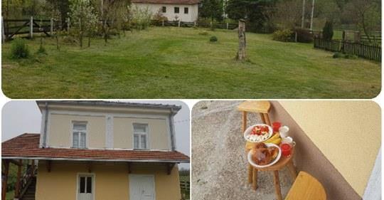 Kuce i vila 