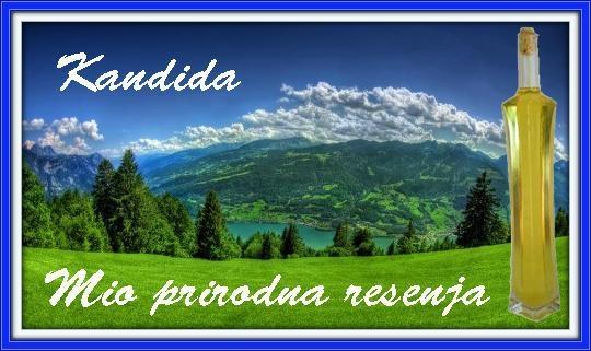 Kandida