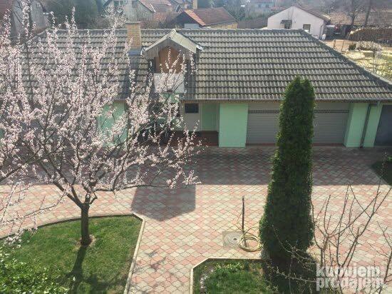 Kuca-Palic
