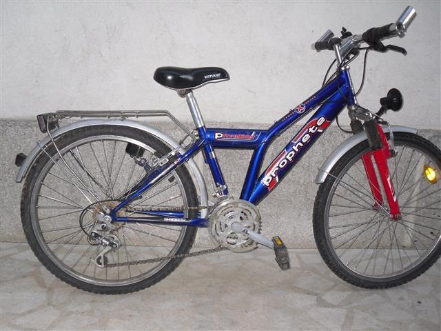 Decija 24