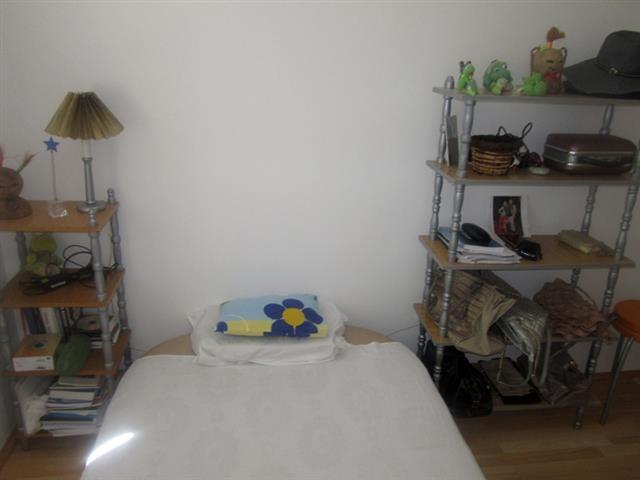 Petlovo-brdo-38m2+t
