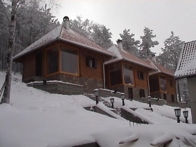 Apartmani na Divcibarima