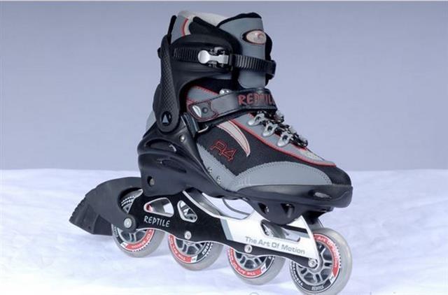Reptil Raptor R 2010