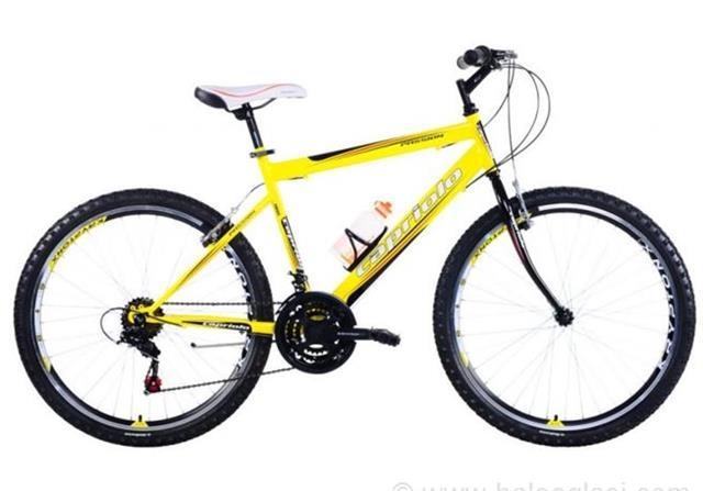 MTB Capriolo Passion Man