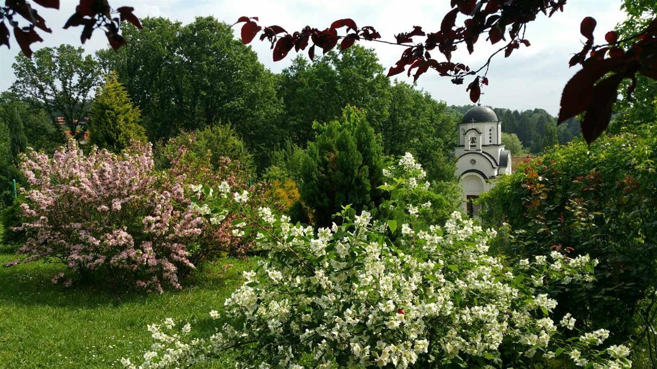 Vila-Avala---Iznajmljivanje-na-dan