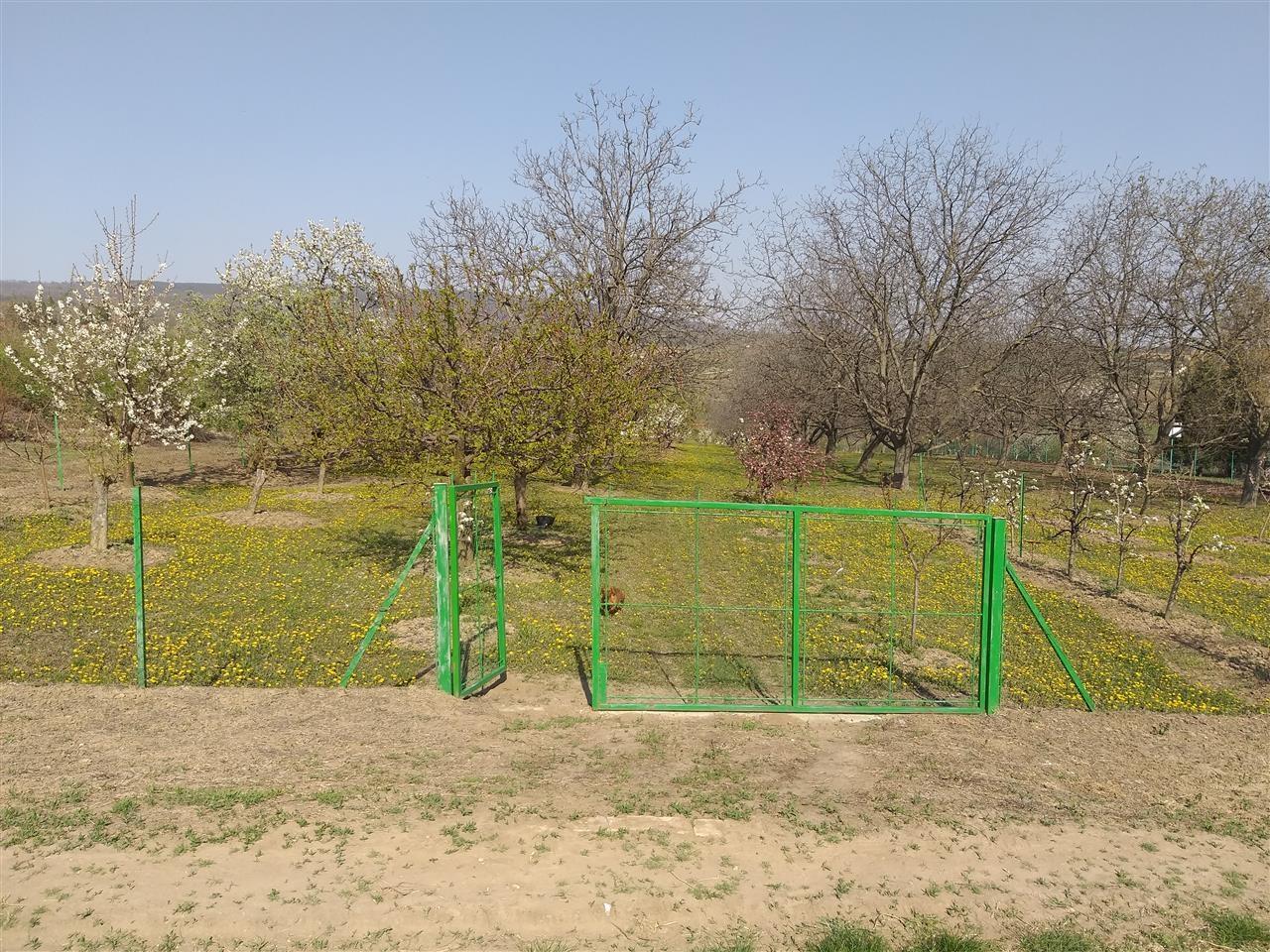 Ograđeni-plac