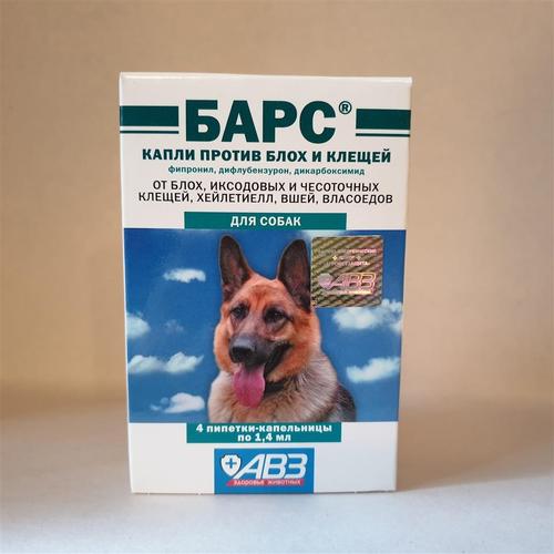 Bars ampule AKCIJA!