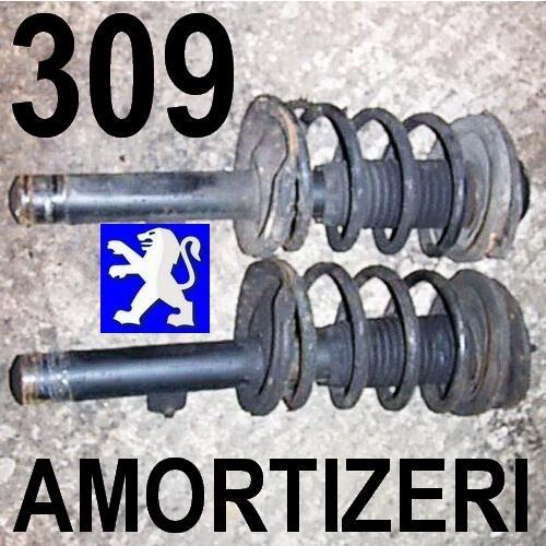 Amortizeri 309