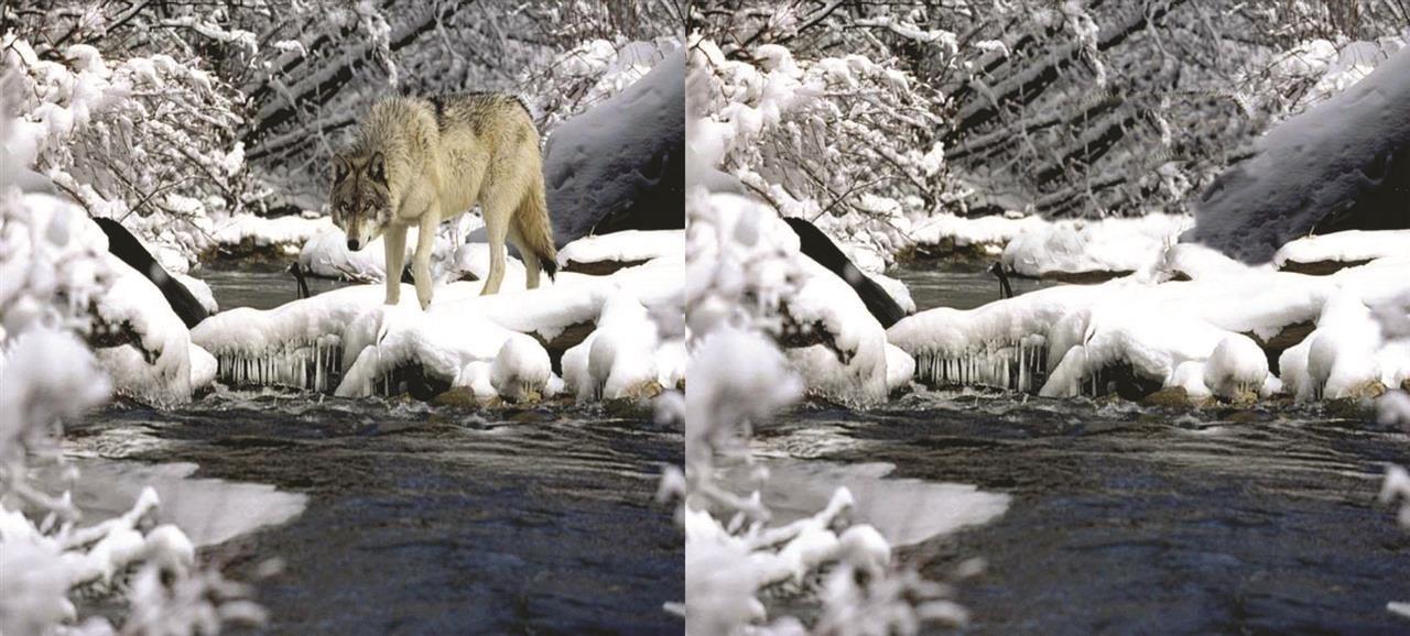 Photoshop-obrada-slika-