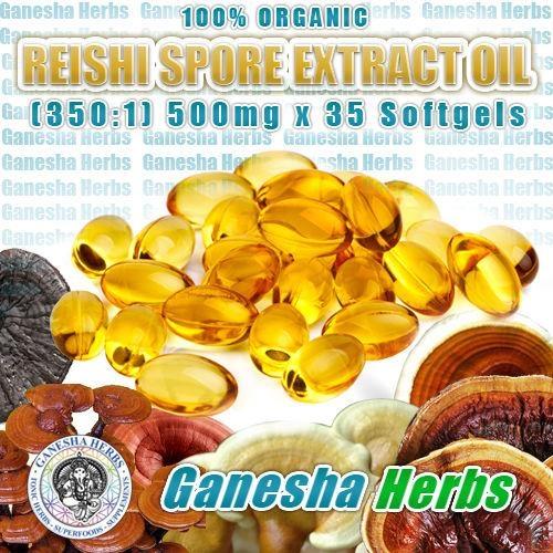 REISHI-PECURKA--GANODERMA-LUCIDUM-