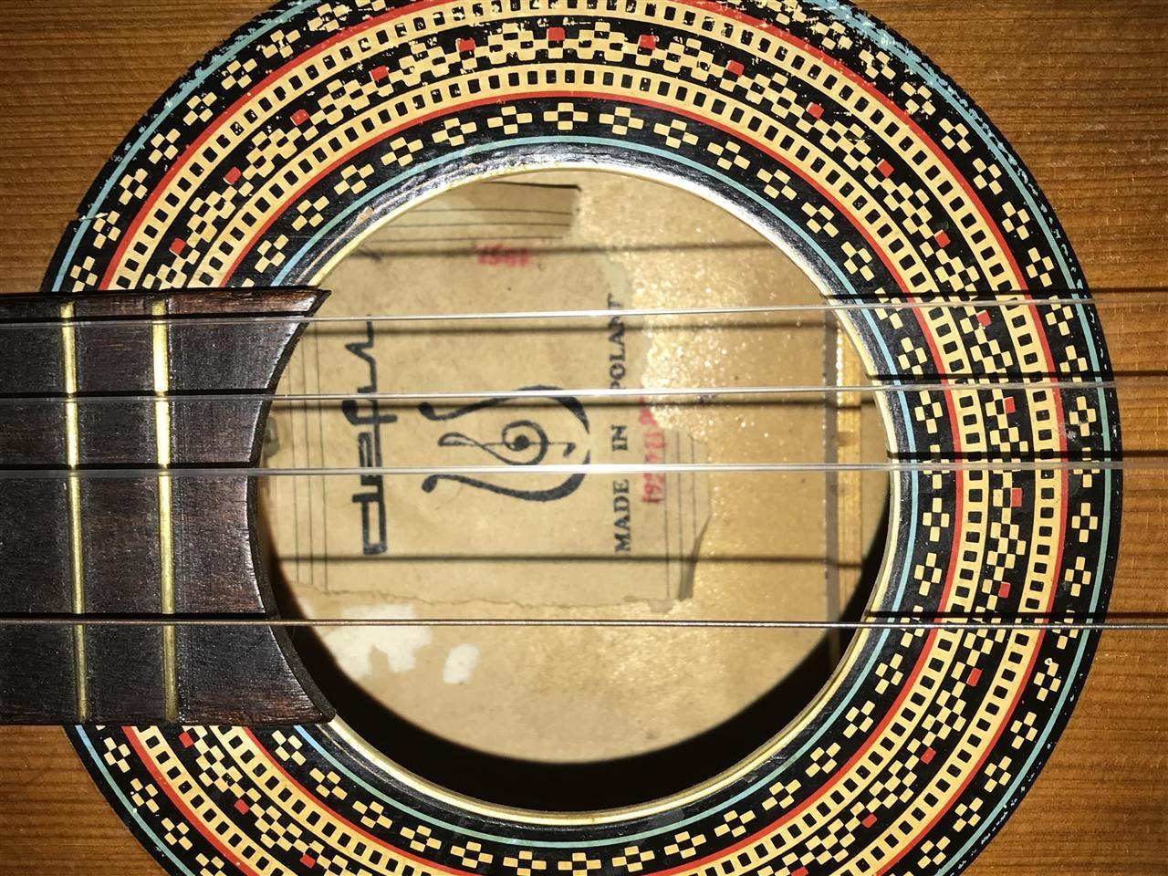 Poljska-gitara
