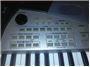 Aranzer-Roland-E-50-