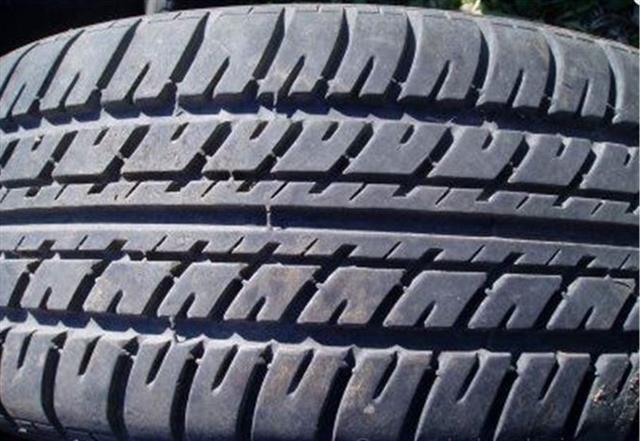 Bridgestone - Tigar