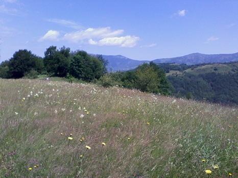 Stara-planina-placevi