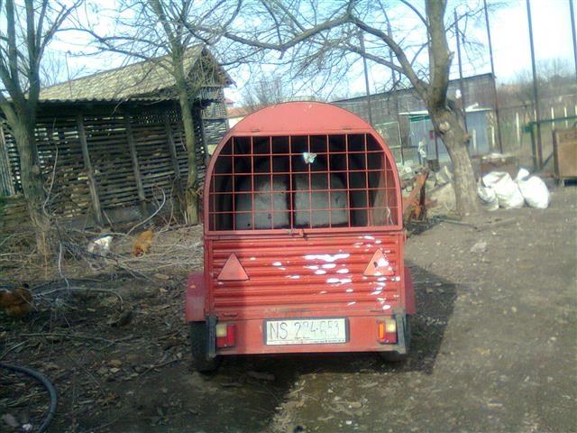 Autoprikolicu