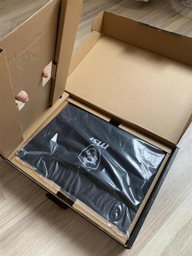 Msi GE75 Raiders