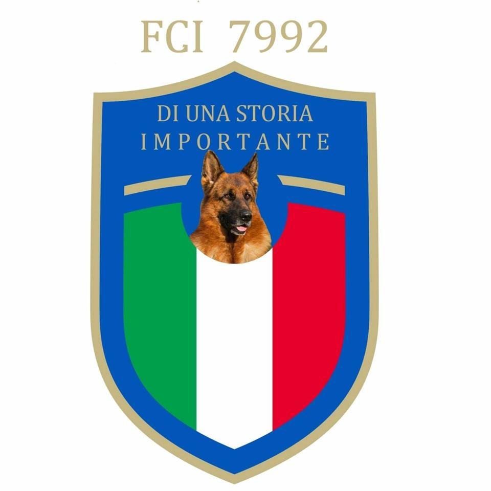 Štenci-Nemačkog-Ovčara-
