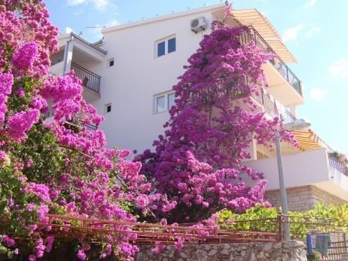 Astra Maris Apartmani