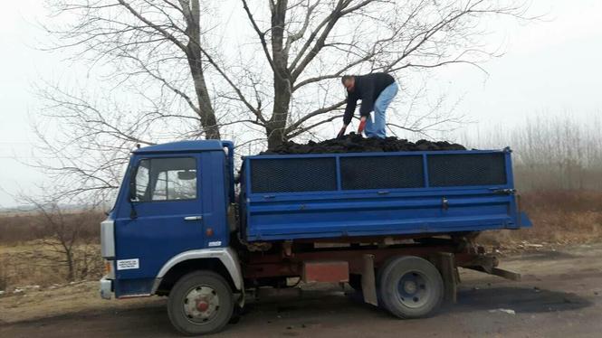 Zastava 8010