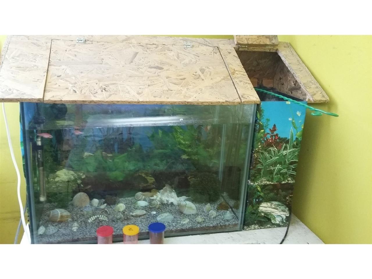 Akvarijum