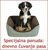 Cuvanje pasa