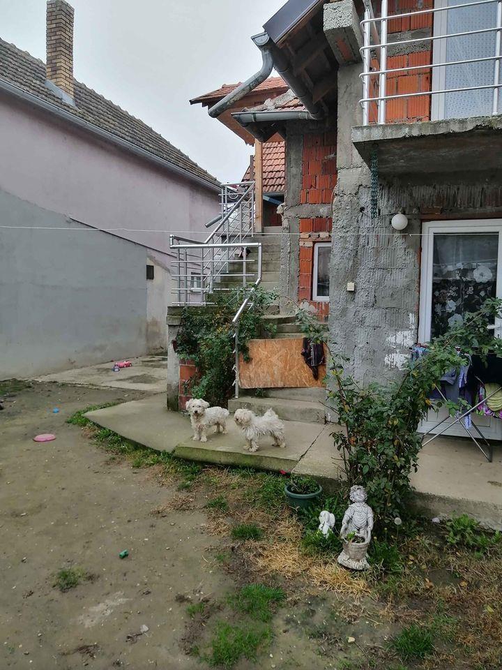Kuca-u-Zablju