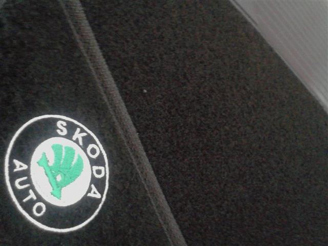 Skoda-Fabia-2--07-10----Patosnice-tepih