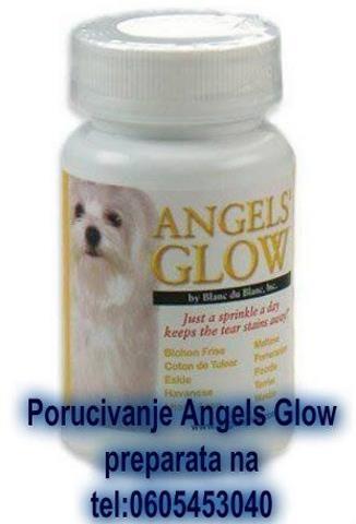 ANGELS GLOW - za pse i macke