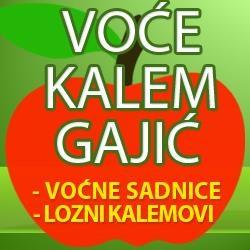 Extra SADNICE VOCA- Rasadnik Gajic!