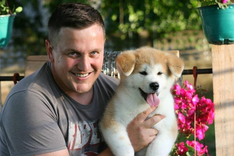 Akita-Inu-stenci-
