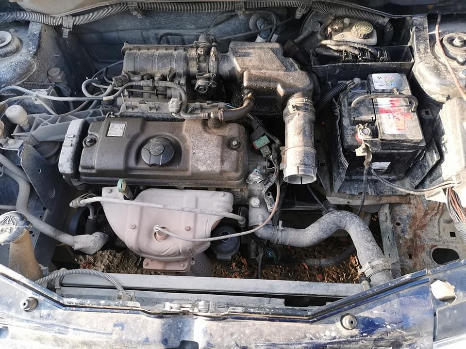 berlingo