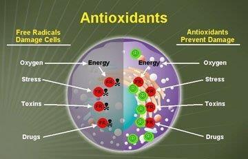 ANTIOKSIDANSI