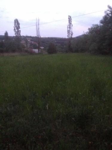 Plac