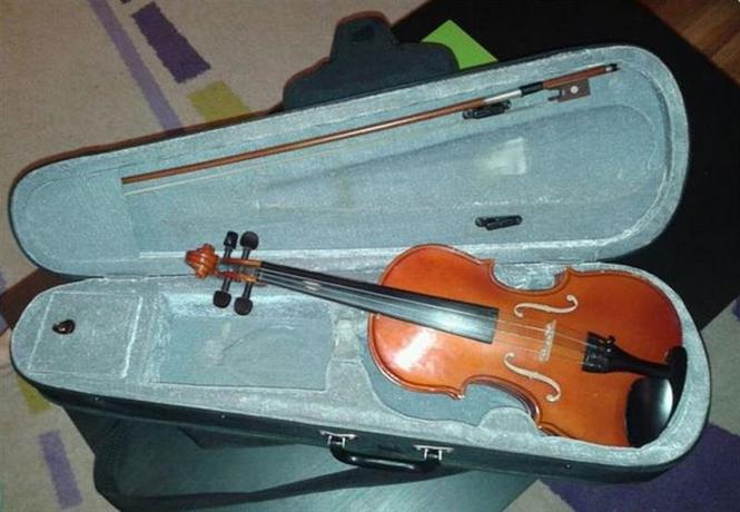 Violina 1/2