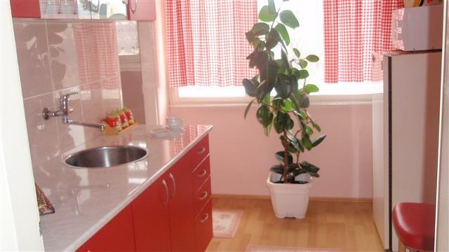 Stan-u-sremskoj-50m2