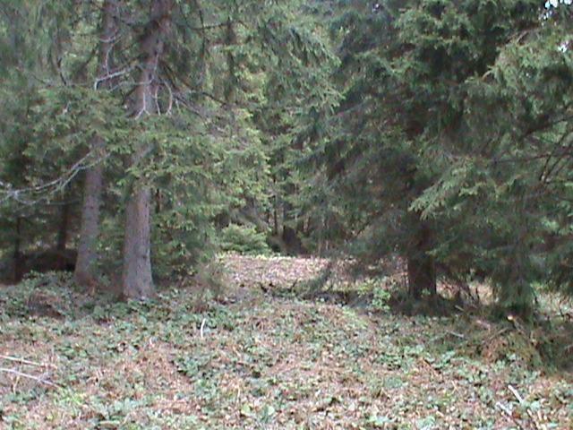 Sumu-5000m2