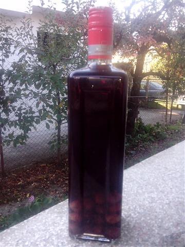 Visnjevaca