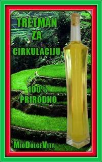Cirkulacija