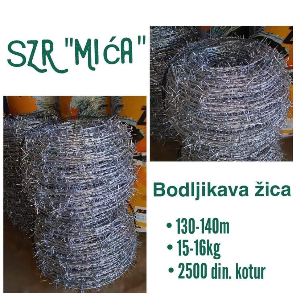 Zica