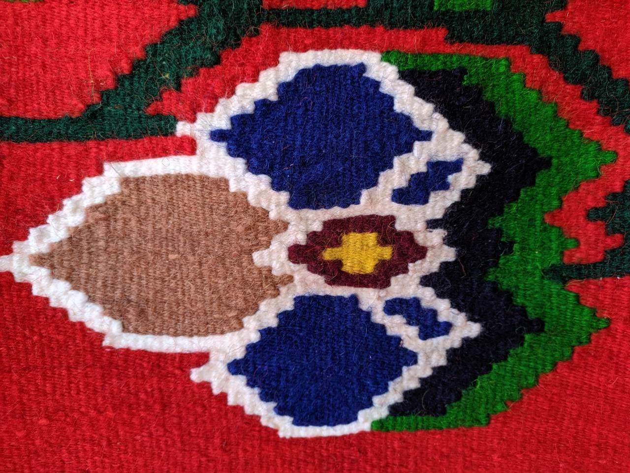 Šarenice