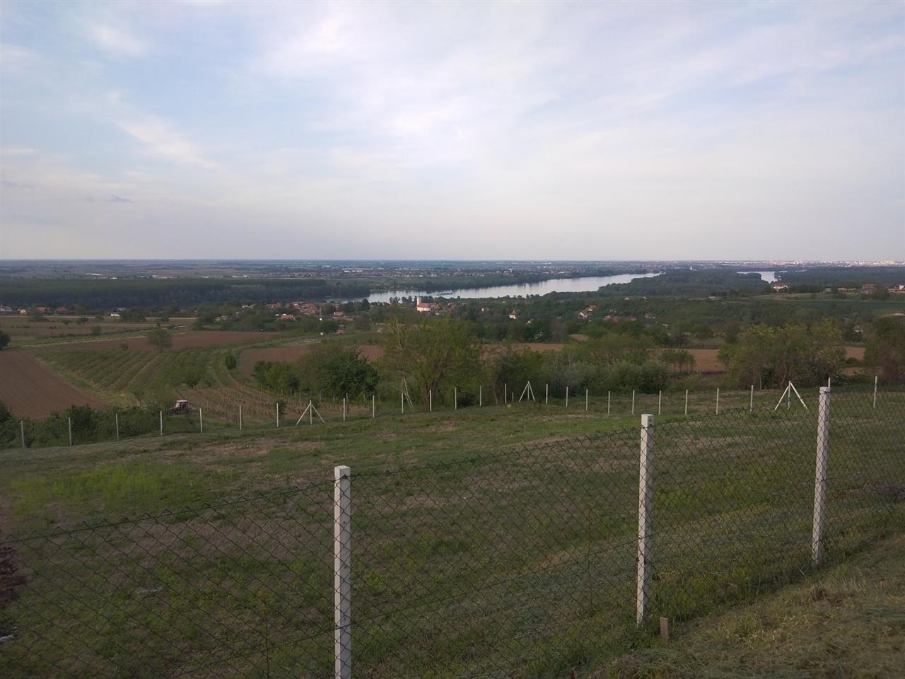 Čerević